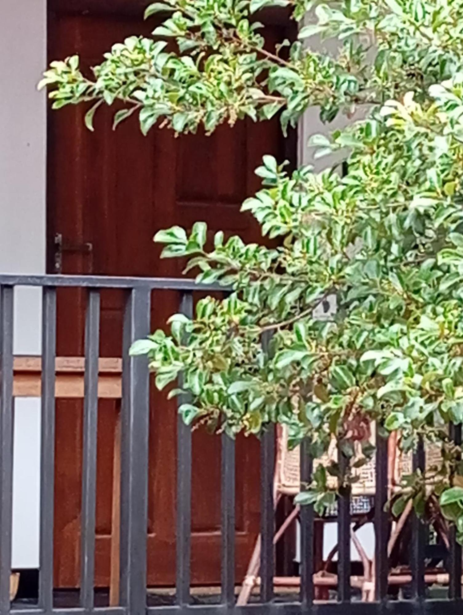 Ceylonima Home Stay Anuradhapura Rom bilde
